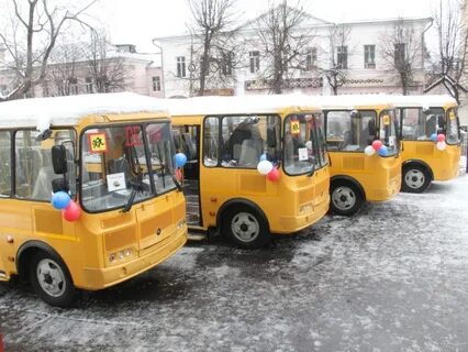 Парк школьных автобусов