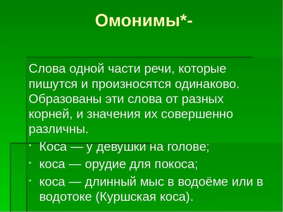 4 омонима слове