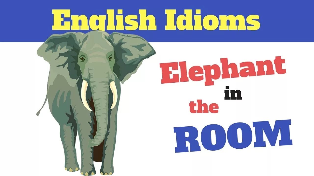 White Elephant идиома. Elephant in the Room идиома. The Elephant in the Room meaning. Слон в комнате идиома.