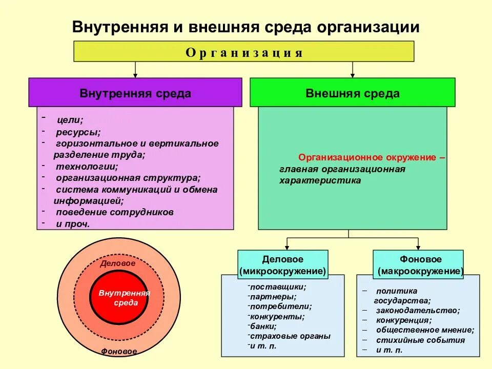 Внешняя и внутренняя среда деятельности организации. Структура внешней и внутренней среды организации. Внутренняя и внешняя среда организации в менеджменте. Составляющие внешней среды организации.