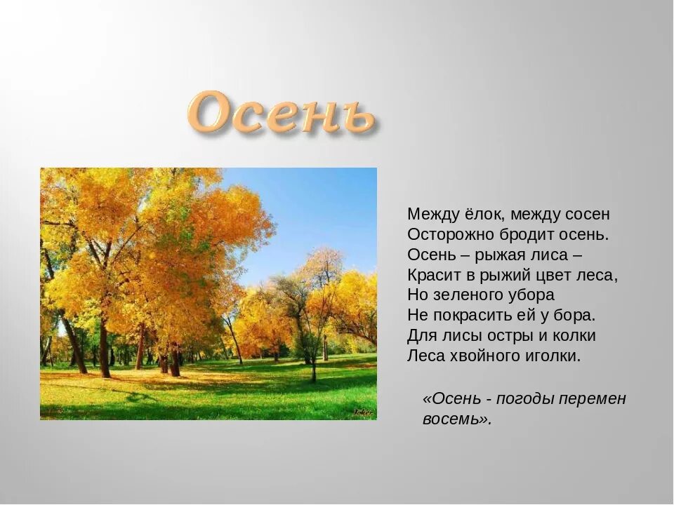 Маленький рассказ про осень. Описание природы для детей осень. Описание осени для детей. Небольшой рассказ про осень. Осенний лес сочинение 2