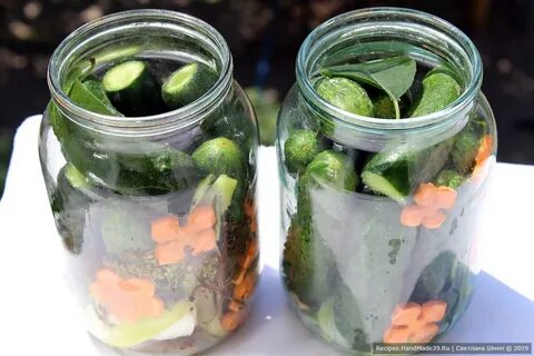 Можно ли класть в огурцы базилик