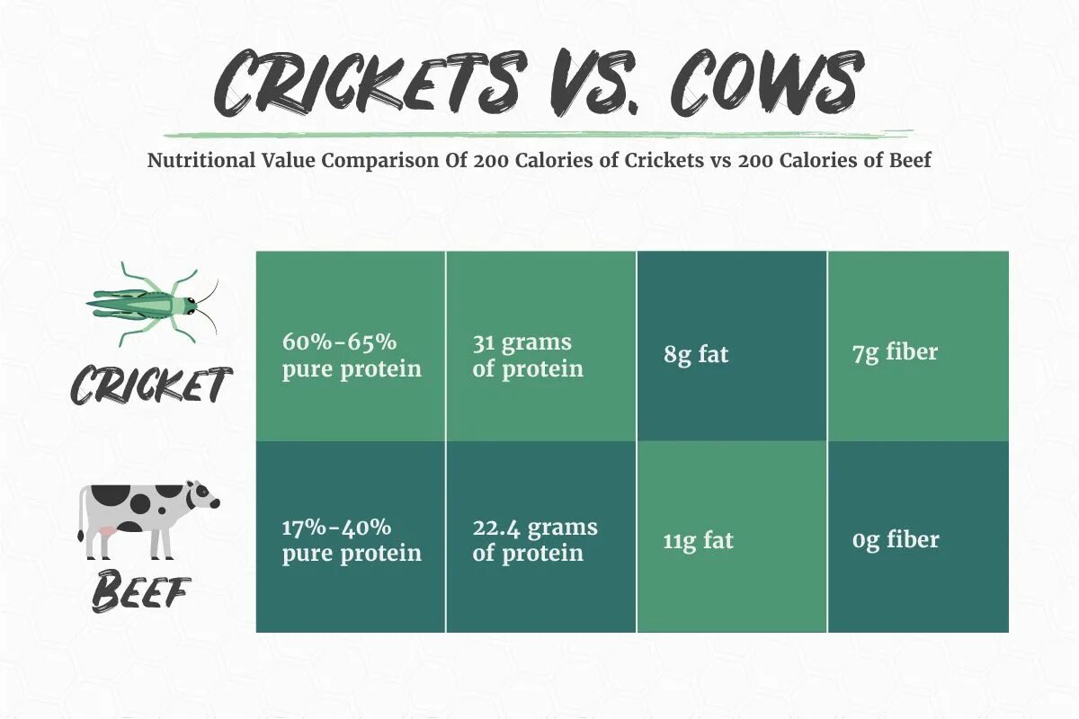 Value compare. Hiso (Edible insects). Feed value insect. Do eat Crickets. Insect Protein consumption Graphics years.