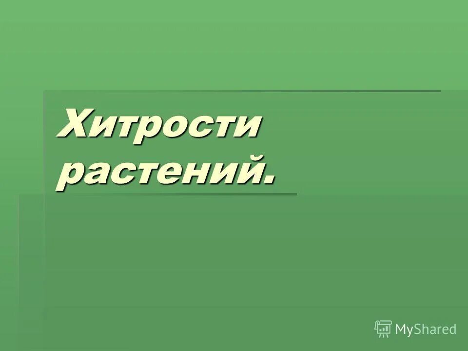 Навстречу загадка. Навстречу загадка