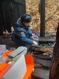 Дознание мчс
