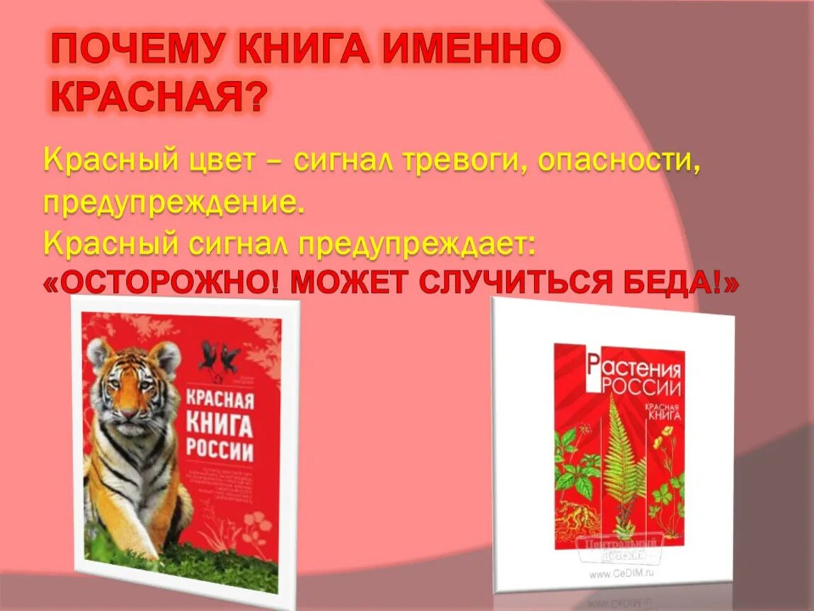 Образцы красной книги. Проект красная книга. Проект красная книга России. Проект красная книга РО. Пррект красеая книга Росси 4 класс.