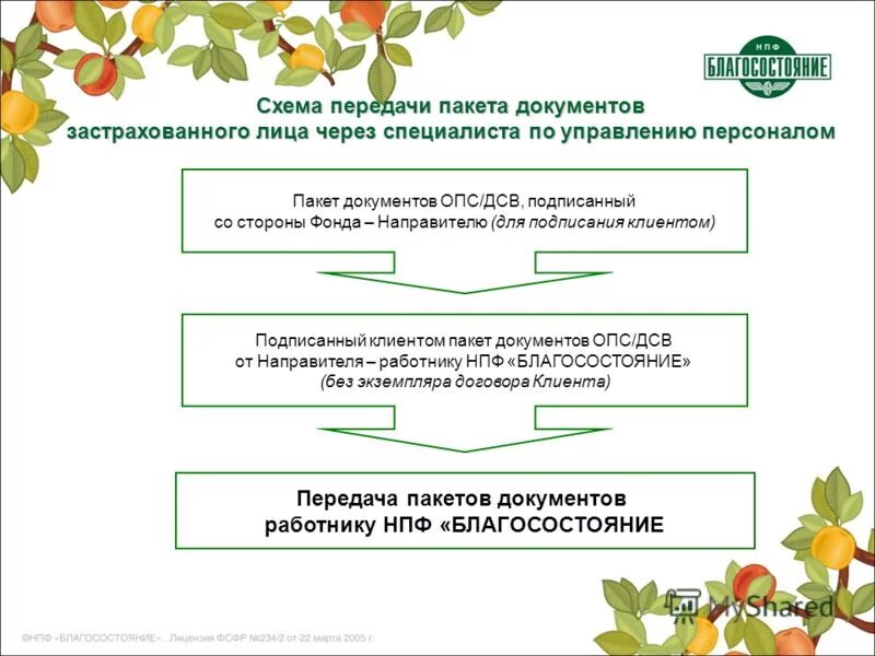 Приложение пакет документов. Приложение пакет документов. Схемы нпф благосостояние. Приложение пакет документов. Документация для инвесторов проекта.