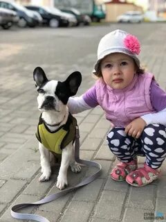 Молли песиком