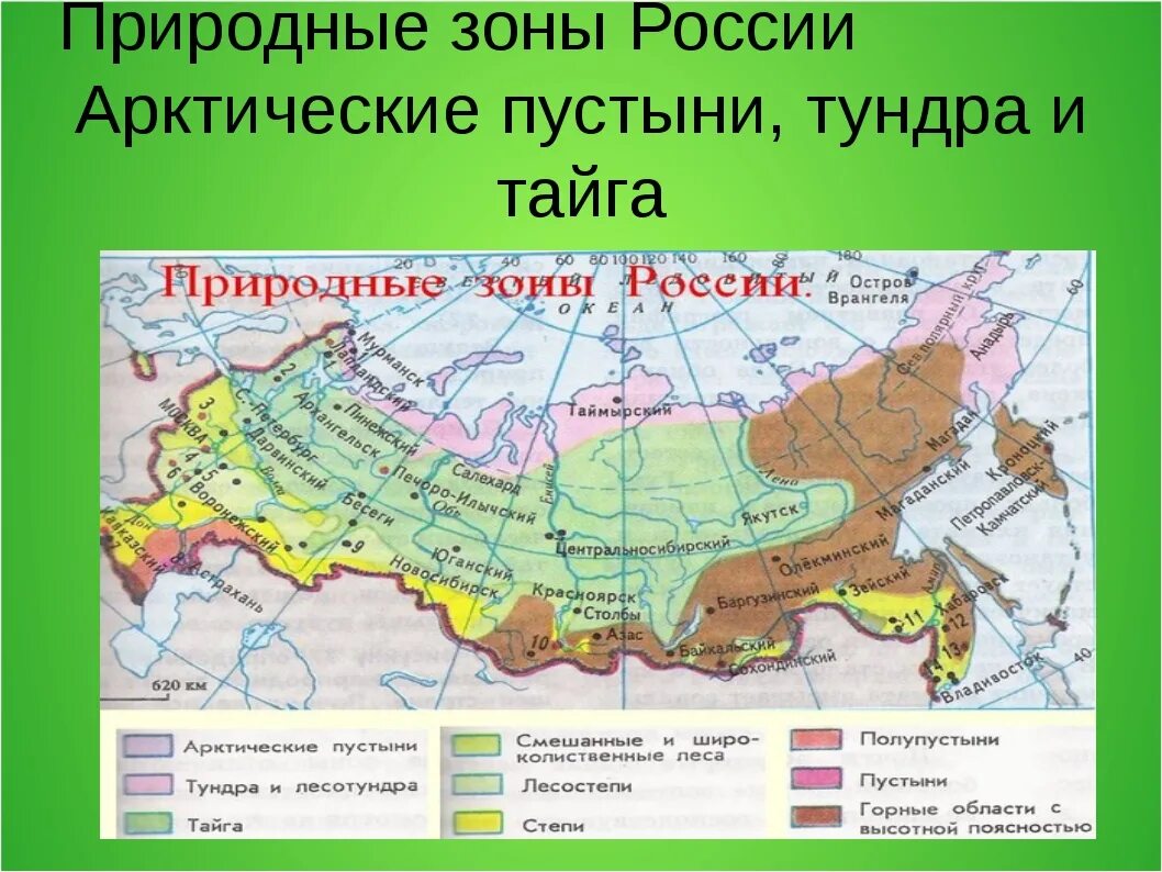 Зона смешанных и широколиственных лесов на карте России. Лесостепи на карте России природных зон. Географическое положение природных зон России на карте. Зона тайги смешанных и широколиственных лесов на карте.