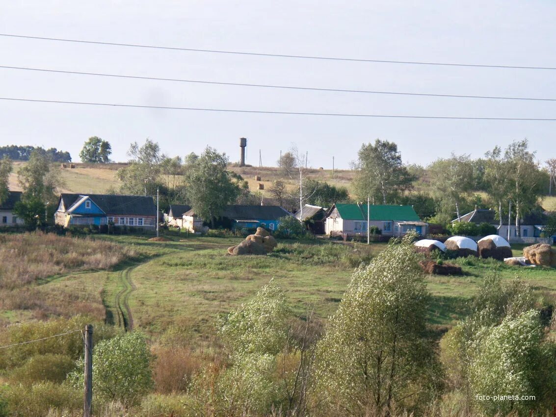 Погода село толстый. Лев толстой село Домачи Липецкая область. Село Гагарино Лев Толстовский. Лев-Толстовский район Липецкой области. Липецкая область Лев Толстовский район село Троицкое.