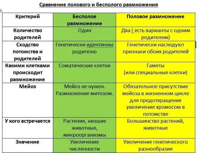 Процесс увеличения количества особей