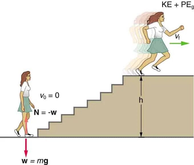 Имеющие высоту. Мощность подъема по лестнице. Power in physics. Power физика. Человек наступает на ступень физика.