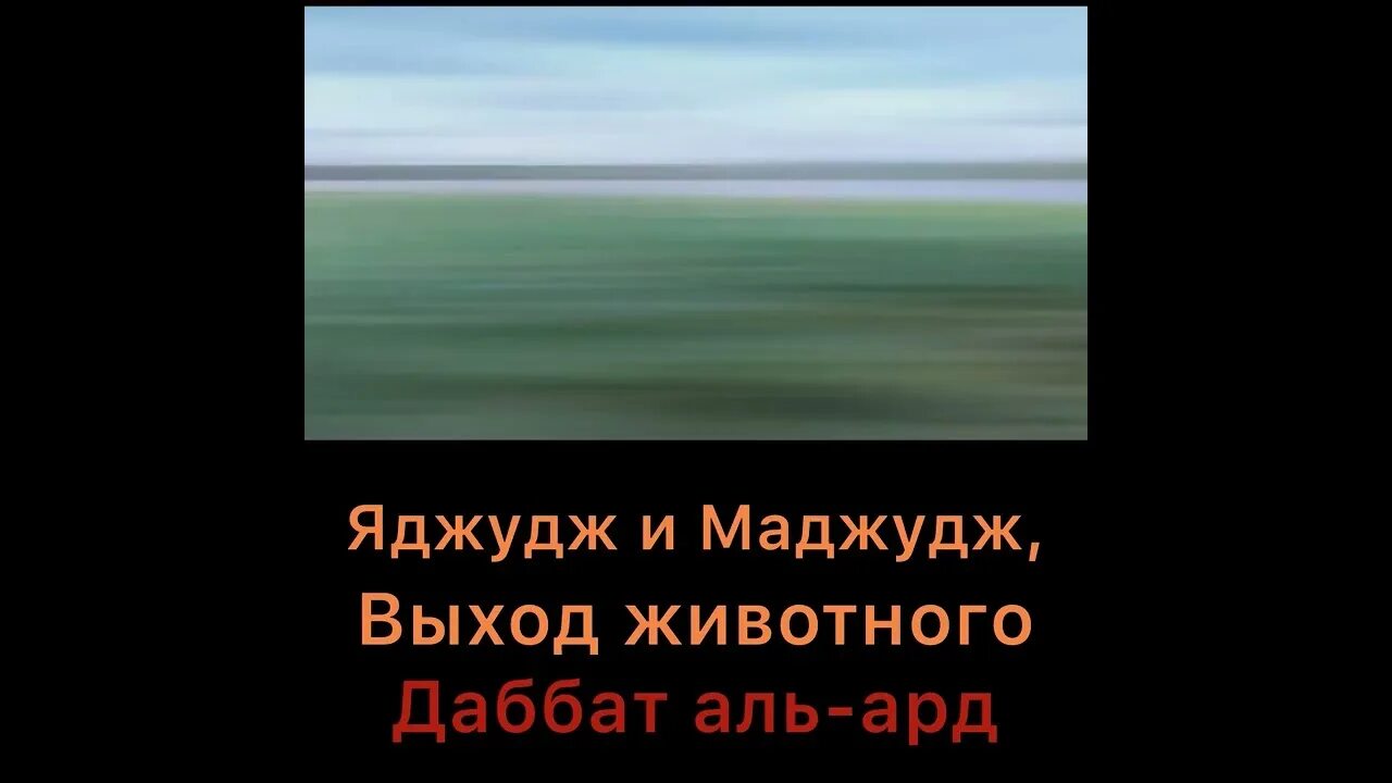 Появление существа даббат аль-ард. Даббат аль-арз. Зверь даббат аль ард. Предвестники судного дня в исламе. Животное даббат аль ард.