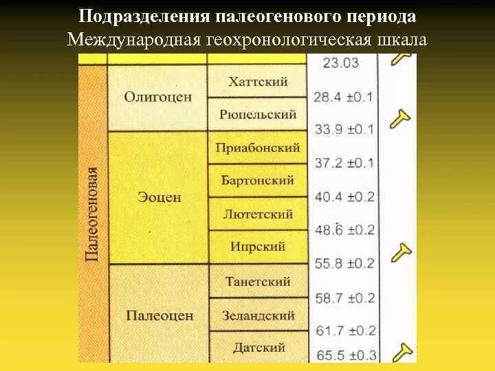 Кайнозойская период таблица. Палеоген период эпохи. палеогеновый период стратиграфическая шкала. периоды кайнозоя-палеоген. эра палеоген возраст.