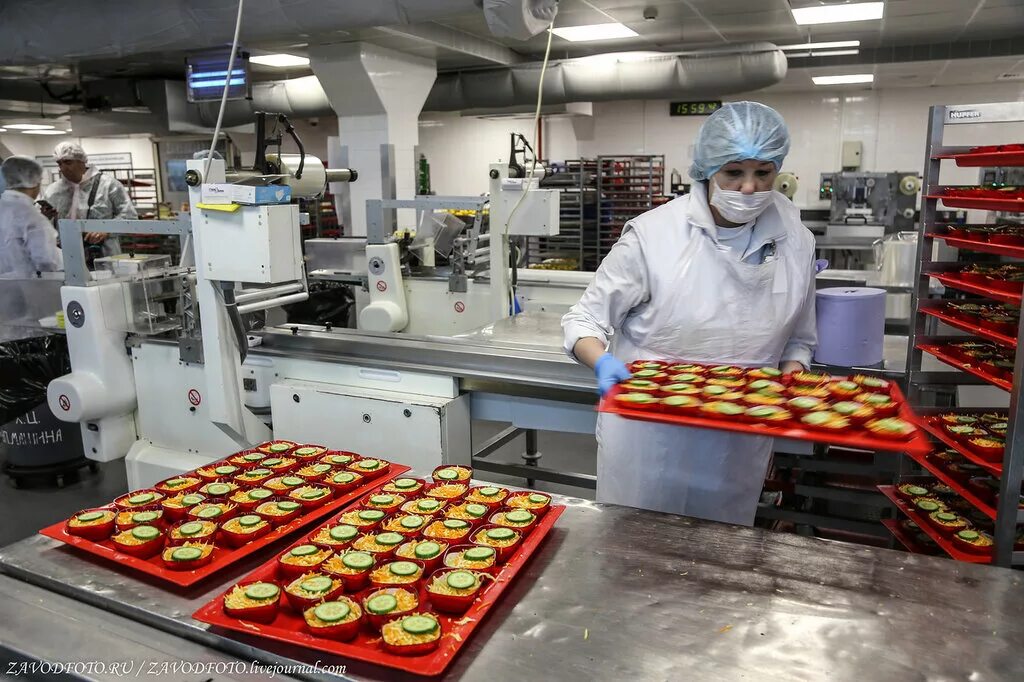 Сырье полуфабрикаты предприятий общественного питания. Фабрики-кухни и комбинаты питания. Салатный цех. Продукция горячего цеха. Конвейерная лента с пельменями.