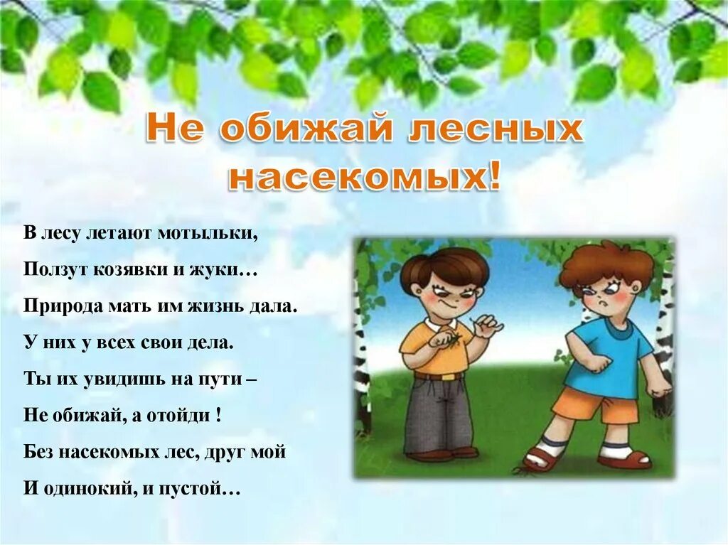 Не обижай лесных насекомых. Стих не обижайте насекомых. Нельзя обижать насекомых. Правила поведения в лесу.