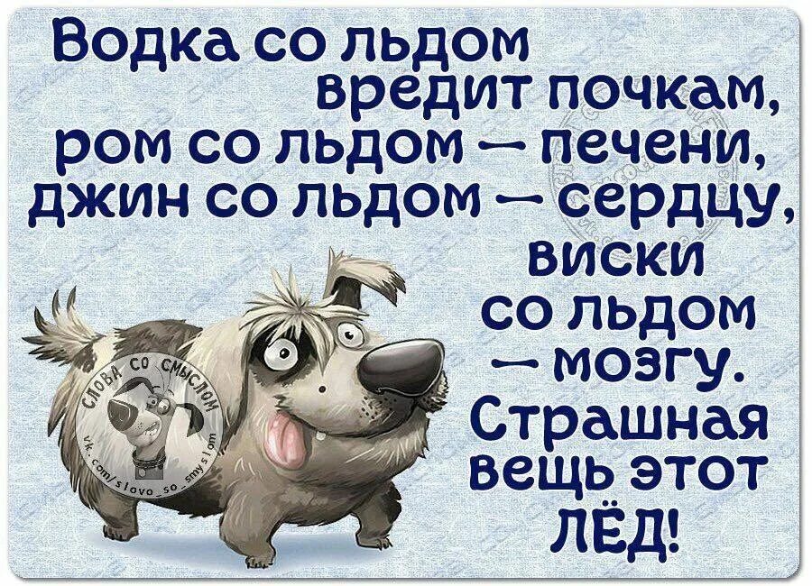 Такие шутки льды нередко вышучивают над неосторожными