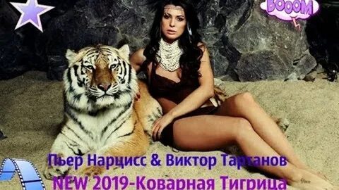 Внутри сильна как тигрица котенок песня