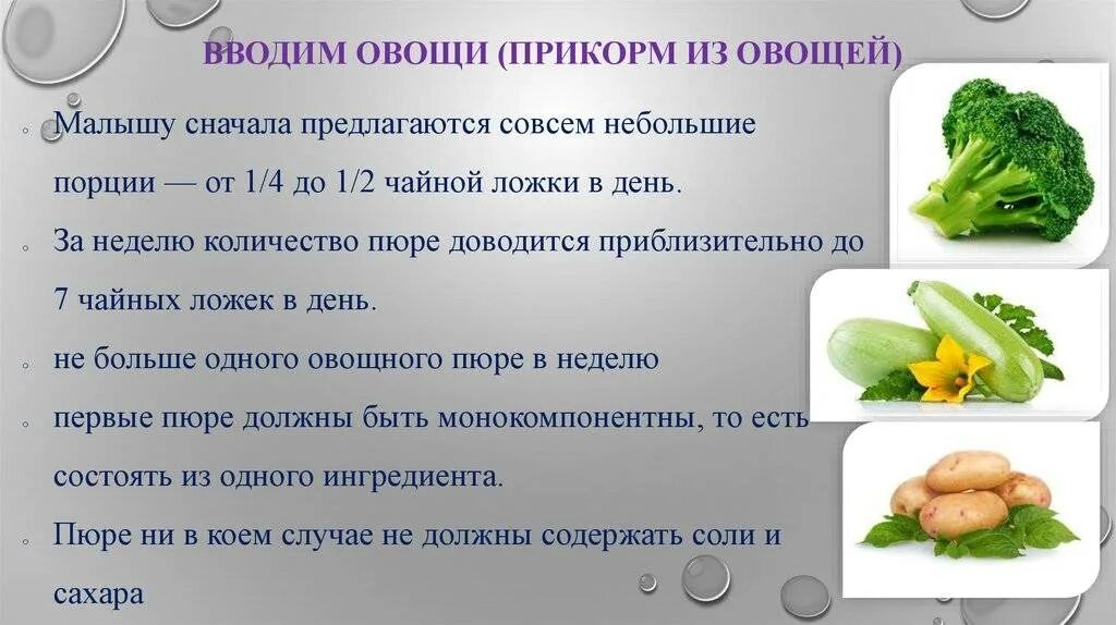 Когда можно давать картошку. Очередность введения овощей в прикорм. Введение моркови в прикорм грудничку. Введение прикорма овощное пюре. Как вводить первый овощной прикорм.