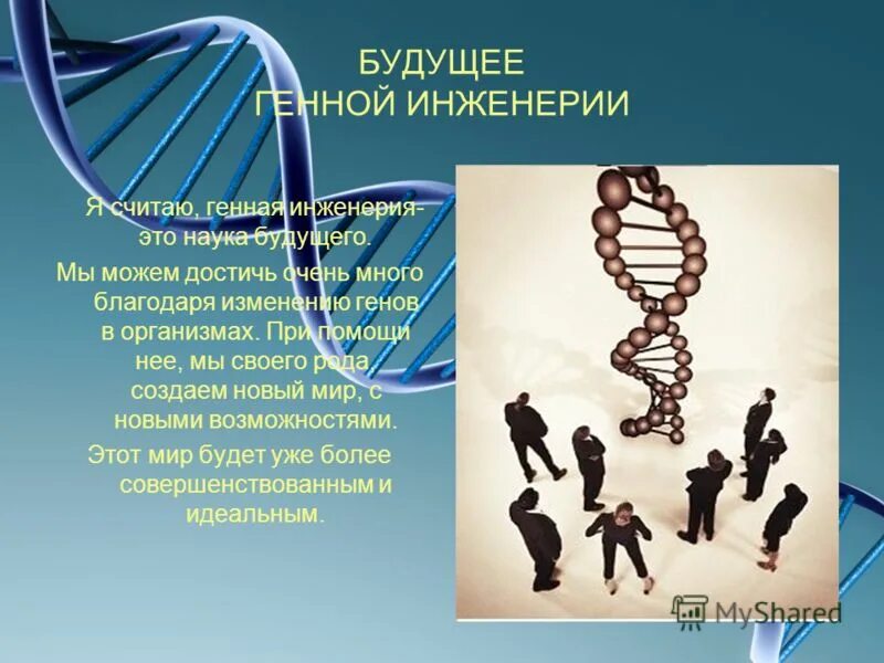 применение генной инженерии. генный инженер. примеры генной инженерии в селекции. генетическая (генная) инженерия. генная инженерия.