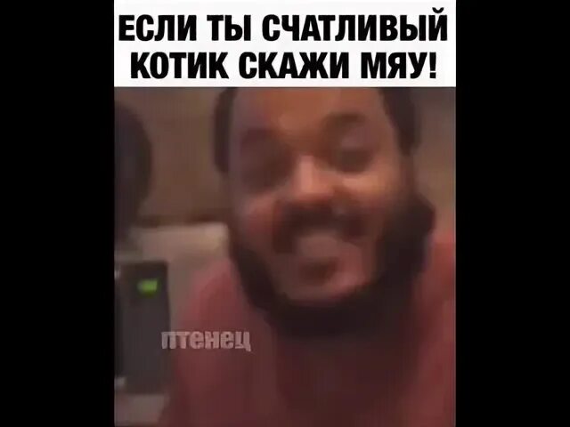 Мяу ня. Если ты хороший котик скажи мяу текст. Если ты котик скажи мяу. Если ты хороший котик скажи мяу текст. Cat mewing мем.