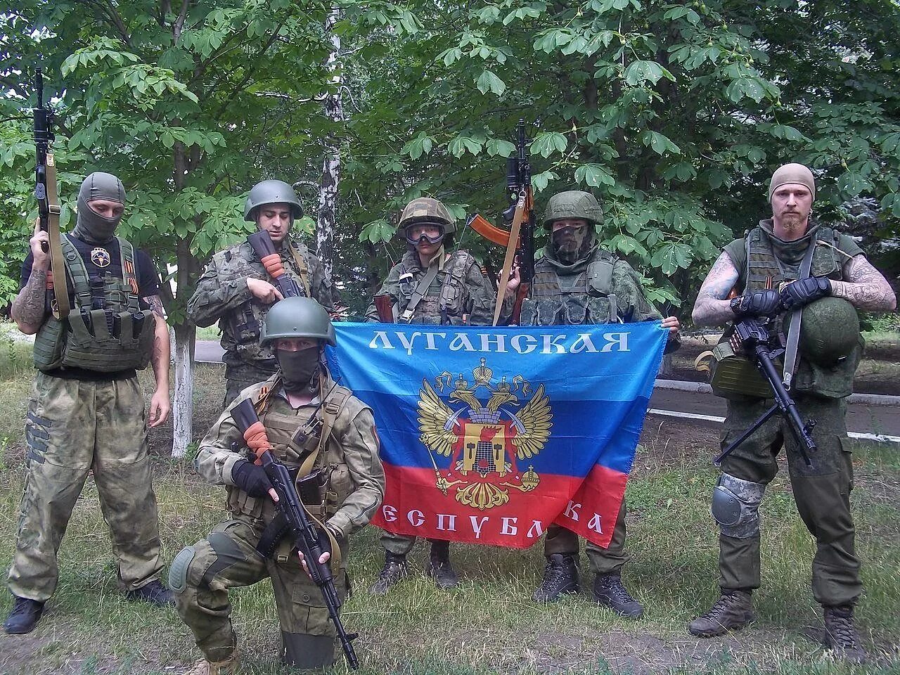 Ополчение донбасса 2014 днр. Марочко лнр. Народное ополчение лнр. Вооруженных сил лнр. Ввс днр.