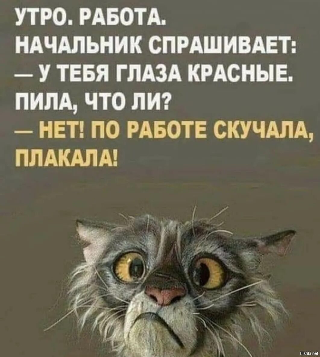 Утро на работе. Утро работа начальник спрашивает у тебя глаза красные пил. Приколы про утро и работу. Утром на работу. Утром на работе видео