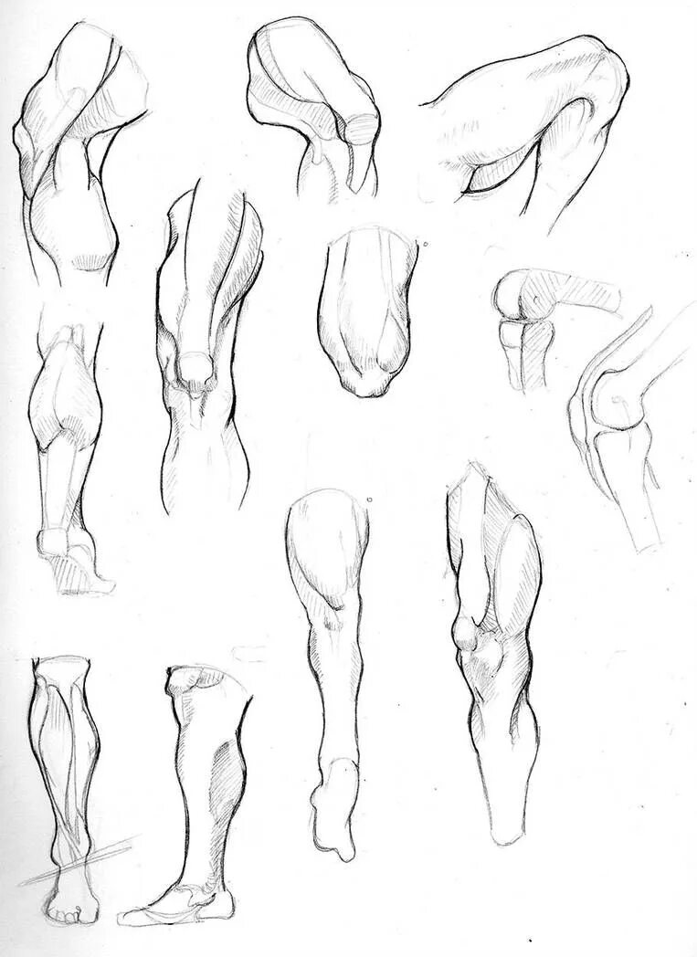 Leg art. Ноги референс анатомия. Анатомия тела референс ноги. Анатомия ног для рисования. Ноги скетч.