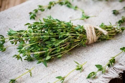 Какую траву слепой знает
