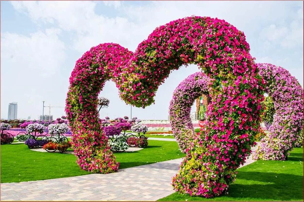 Miracle Garden Дубай. Парк цветов в Дубае. Фловер Гарден. Цветочный сад. Сами красивая цвети