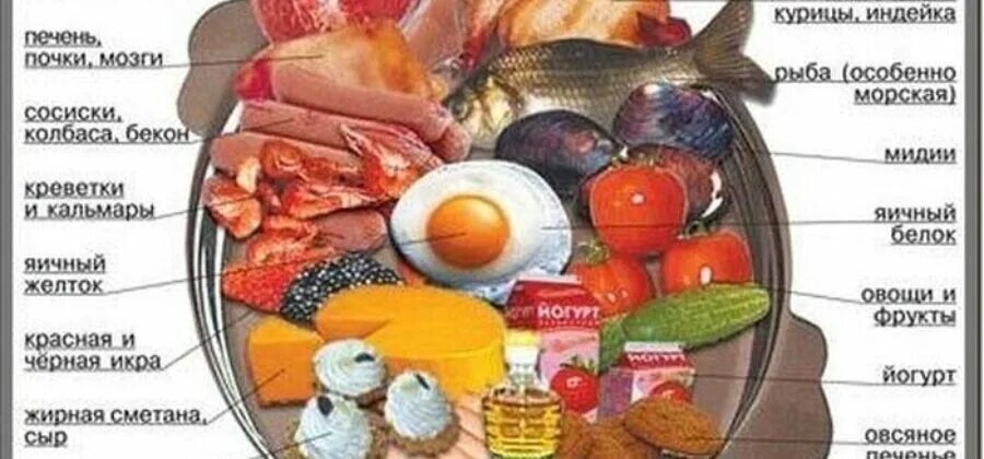 Холестерин в продуктах питания полная. Продукты богатые холестерином. диета при повышенном холестерине. мясо при холестерине. продукты повышающие холестерин.