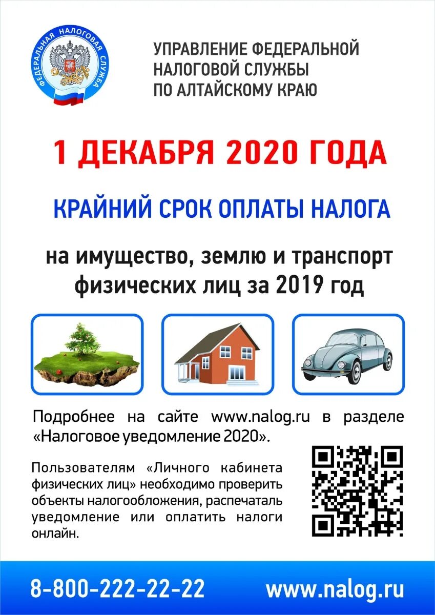 Не платят налог 2 года. Срок уплаты имущественных налогов. Налоги до 1 декабря. Заплатить налоги до 1 декабря. Уплатить налоги.