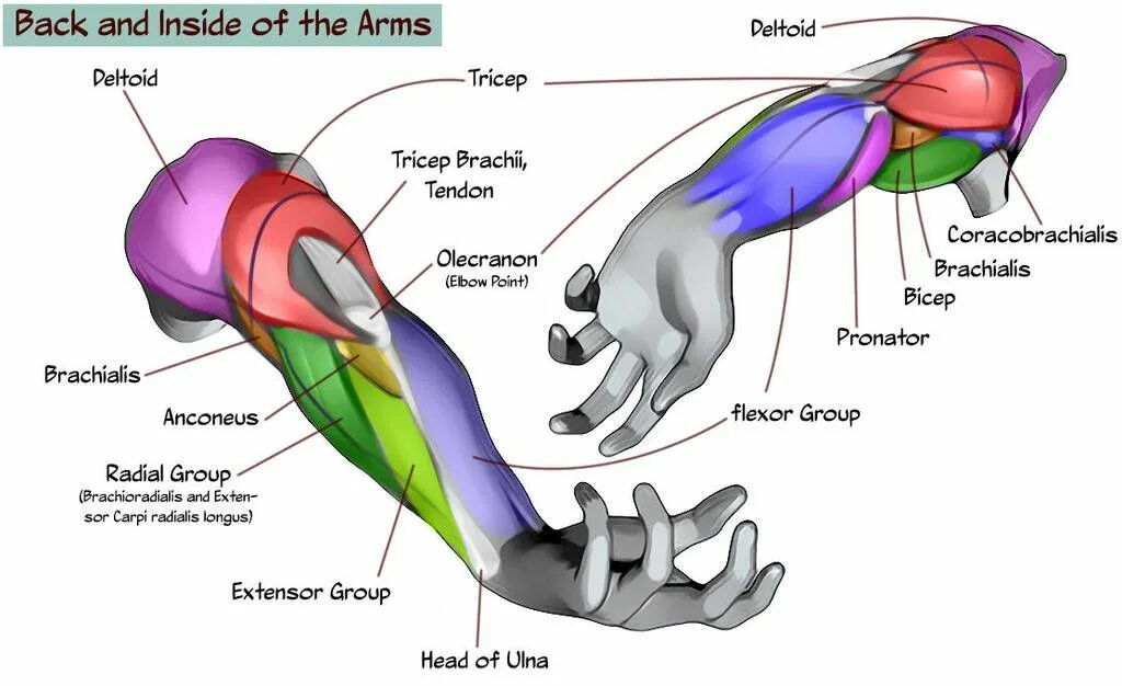 Arm insider. Arm inside. Arm insider. Arm insider. Arm insider.