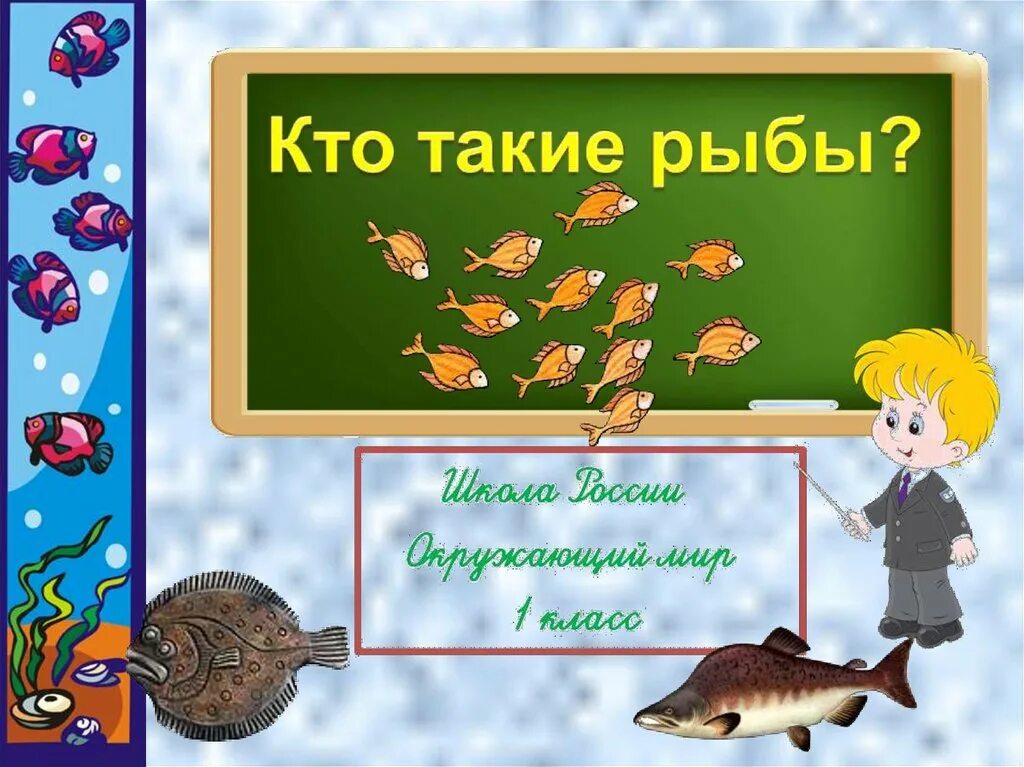 Кто такие рыбы 1 класс окружающий мир. Рыбы 1 класс. Кто такие рыбы. Рыбы презентация 1 класс.