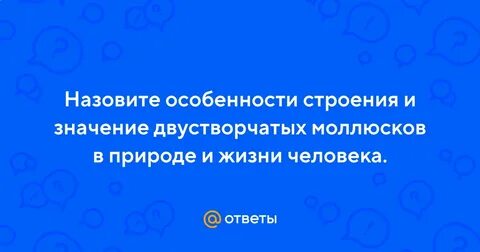 Значение двустворчатых моллюсков в жизни человека