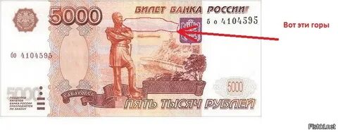 5000 net