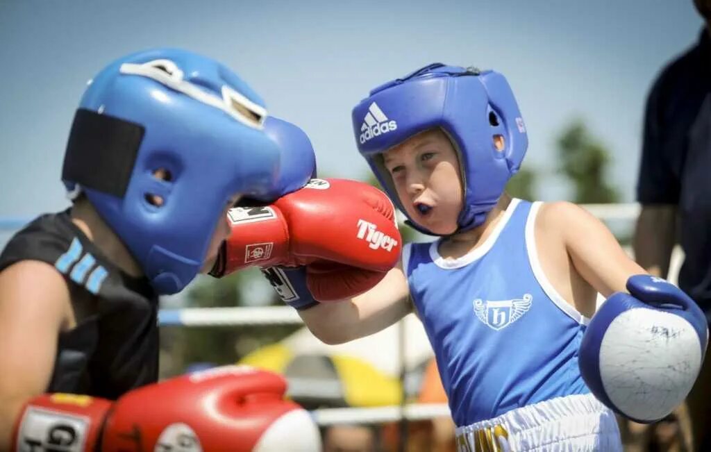 Кикюокс. Спорт тренировки бокс. Спортивная подготовка по виду спорта бокс. Бокс дети. Вид спорта бокс.