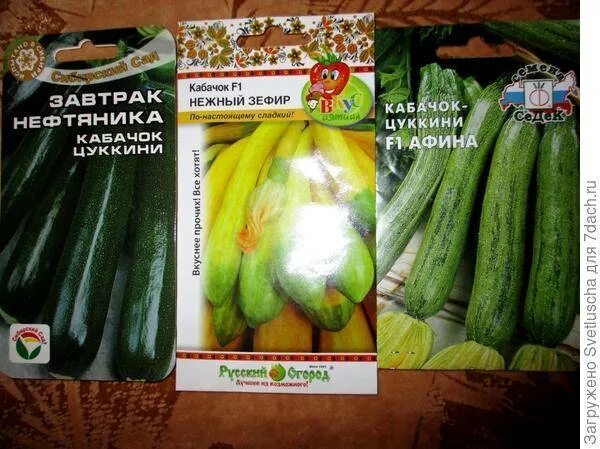 Кабачок Нежный зефир F1, 6 шт. Вкуснятина!, купить в интернет магазине Seedspost