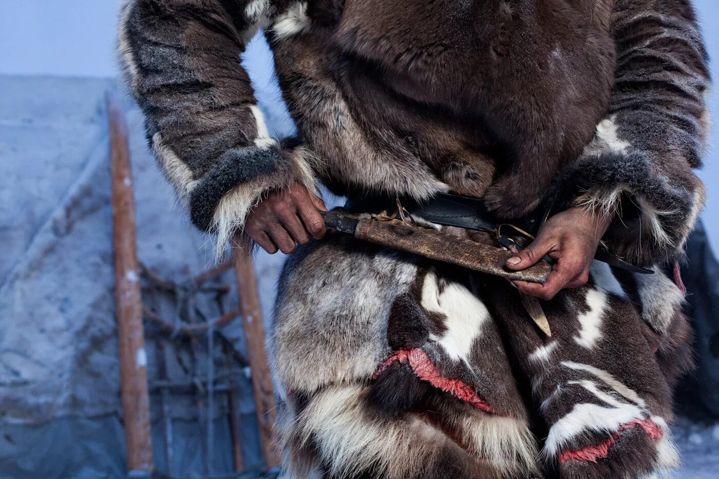 Как чукчи называют медведей. Эскимосы инуиты. Охота на белого медведя чукчи. Как чукчи называют медведей. Инуиты — канадские эскимосы.