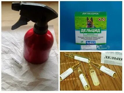 Средство от блох ребенку