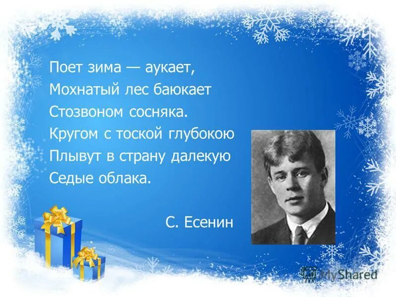 Заснеженные деревья. Зимний пейзаж. Зимние обои на рабочий стол. Зима чья. Дикие животные зимой старшая группа.