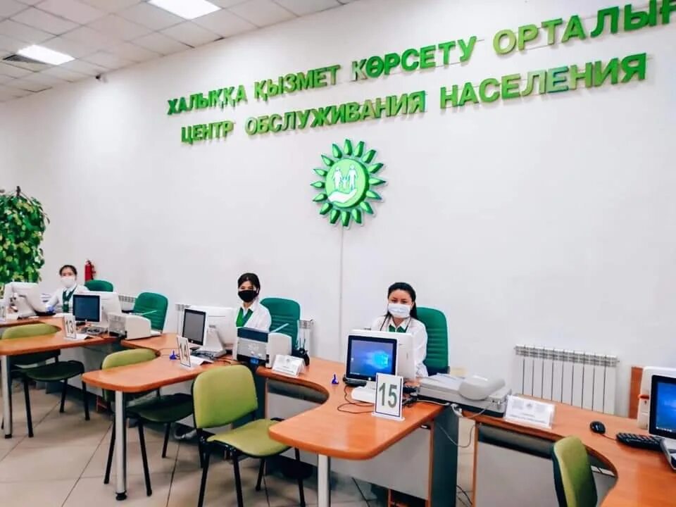 йуниперус цоммуниса голд цоне. цон время работы. цон время работы. цон время работы. цон время работы.