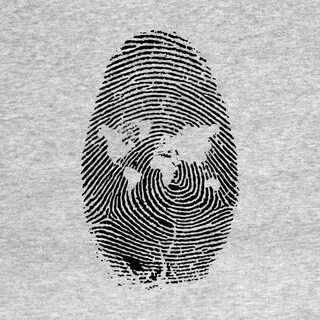 Fingerprinting javascript