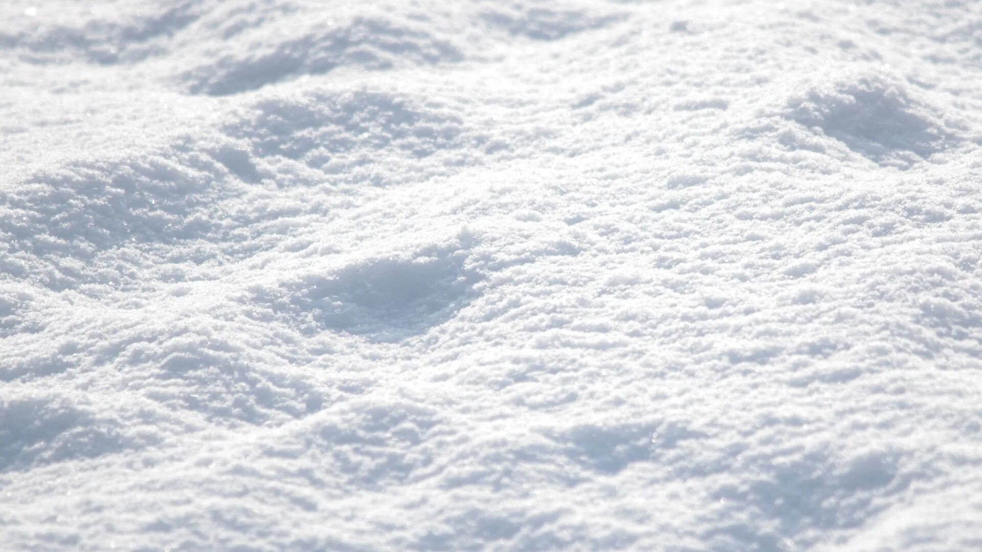 Снег для фотошопа. Снег текстура. Белый снег. Снег вид сверху.