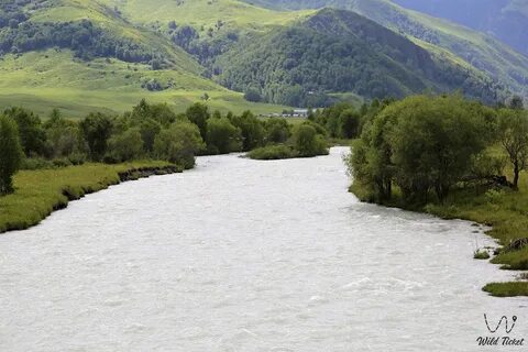 Песня казахская река