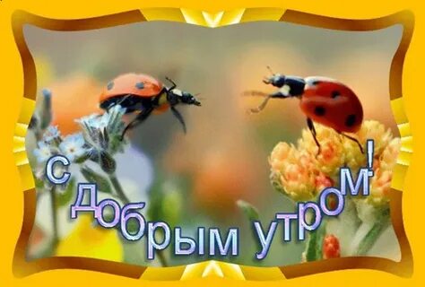 Гифка доброе утро прикольная с надписью