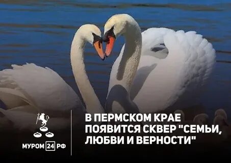 Верности 24