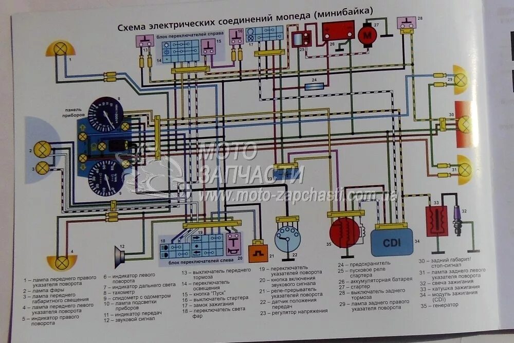 Электросхема мопеда Альфа 50. Схема электропроводки мопеда Орион 125. Электросхема мопед Racer 50 куб. Электросхема мопеда Альфа 125.