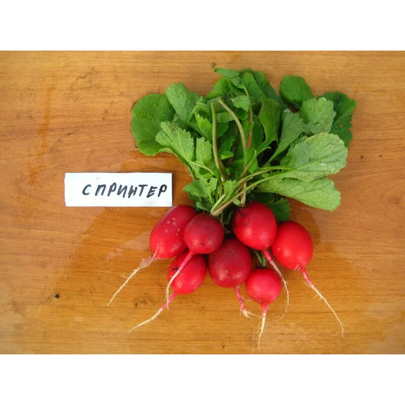 агроопт профессиональные