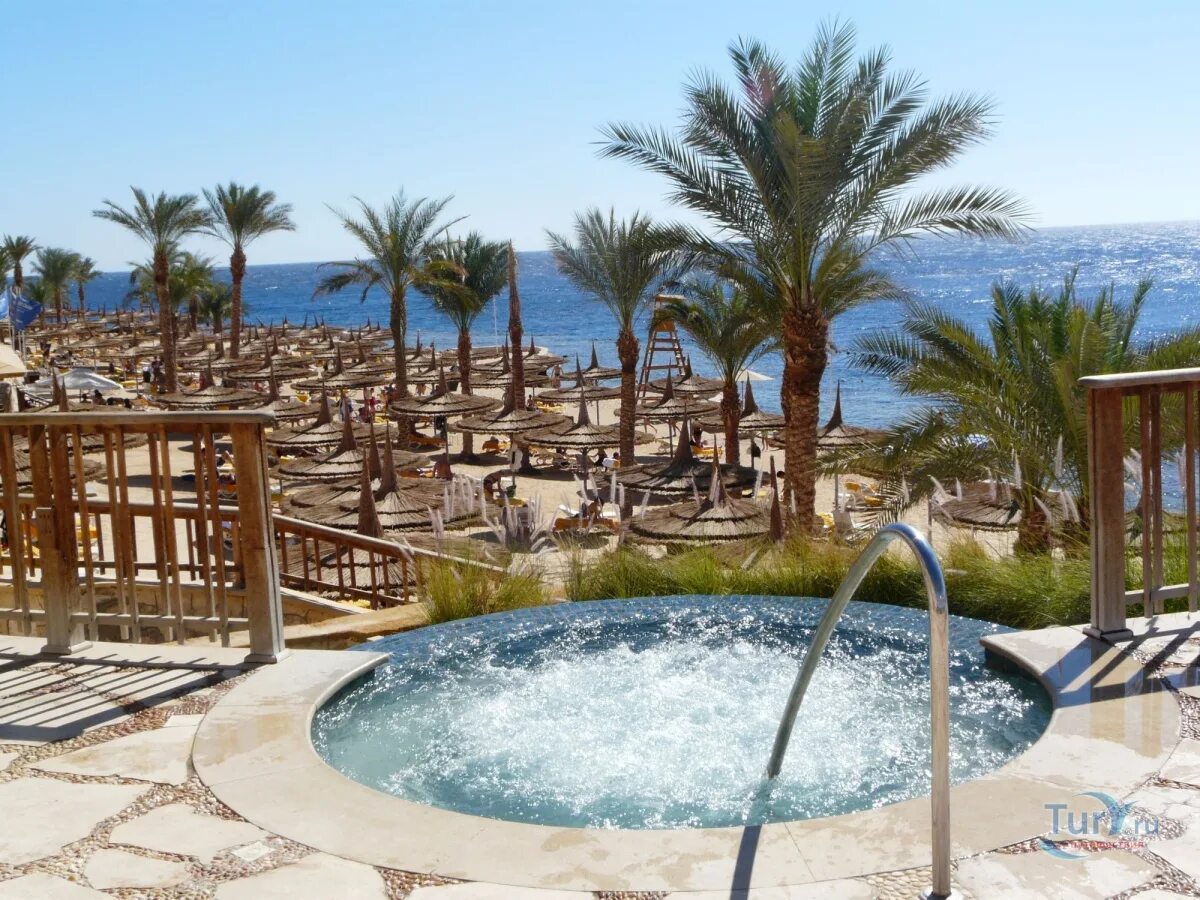 Отель риф бич шарм эль шейх. Риф Оазис Шарм-Эль-Шейх. Reef Oasis Blue Bay Resort Spa 5 Египет Шарм-Эль-Шейх. Риф Оазис Бич Резорт.